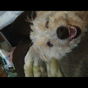 Meet your Posher, Jaclyn